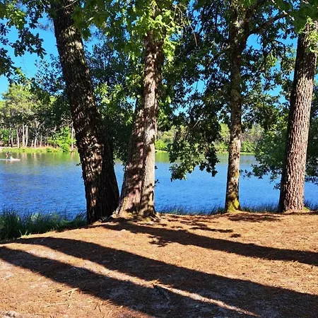 Les Glycines Saint-Pierre-de-Buzet