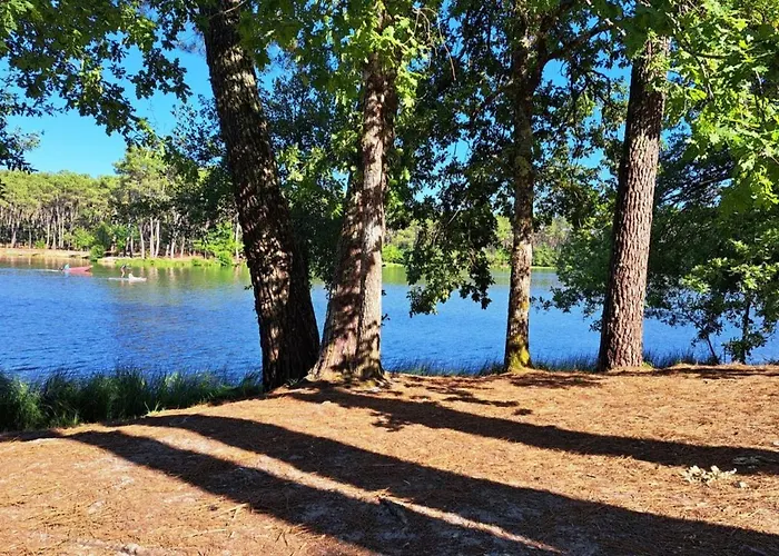 Les Glycines Saint-Pierre-de-Buzet